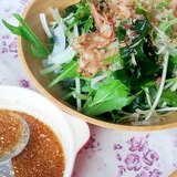 水菜ワカメ玉ねぎの簡単中華ドレッシングサラダ